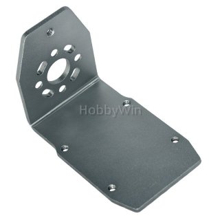 HBX part TS003 Motor Guard Plate